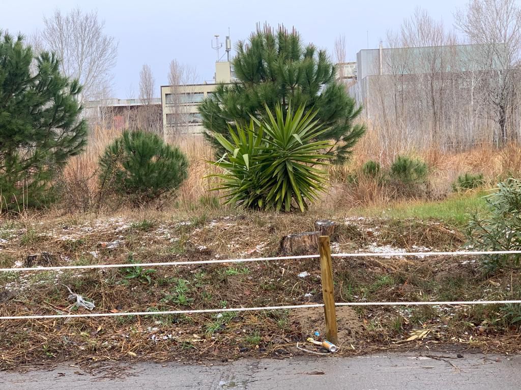 Nieve en la Universidad Politecnica de Castelldefels