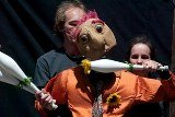 Gavà acull el Festival de Titelles del municipi