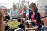 GENT GRAN, INFANTS I JOVES PARTICIPARAN EN L’ENJARDINAMENT DE L’AMPLIACIÓ DEL PARC DE LA TORRASSA