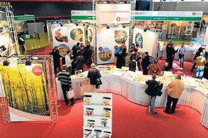 Un nou espai dedicat a la cultura del vi, principal novetat d’Agrotur 2010