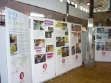 El Mercat Municipal d’Esparreguera acull l’exposició La volta al món en 15 mercats