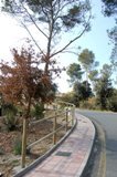 Can Sunyer-Valldaina estrena millores en diferents zones verdes i amplia els contenidors de recollida selectiva