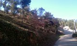 L’Ajuntament de Sant Vicenç dels Horts millora l’estat de les pistes forestals i les rieres per prevenir possibles riscos
