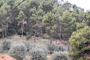 L’Ajuntament de Castellví continua amb el manteniment de les franges