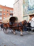 Molta participació en la celebració de les Festes de Sant Antoni Abat d’Esparreguera