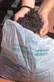 La qualitat dels residus orgànics recollits durant l’any 2010 a Torrelles va a la baixa