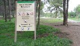 Dos zones forestals de Viladecans acolliran nous camins