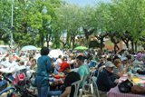 Unes 2.000 persones assisteixen a la Festa de la Carxofa