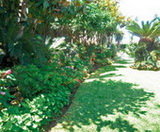 Prova pilot perquè els veïns de Castelldefels recullin restes de jardineria