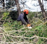 Esparreguera avança en la neteja de finques forestals