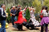 Èxit de participació a la Romeria de la Cruz