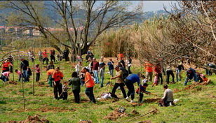 Nova plantació al Bosc dels Infants