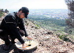 Experiència pionera per a la regeneració forestal a la muntanya de Sant Ramon