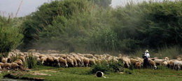 Convocada la 8a edició de la “Primavera Fotogràfica del Baix Llobregat”