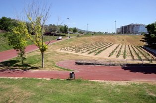 El parc de la Fontsanta ja es rega amb aigua procedent del freàtic