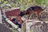 Bombers de la Generalitat realitzen un simulacre de terratrèmol