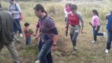 Accions de neteja i eliminació de plantes invasores al delta del Llobregat