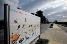 L’Ajuntament de Gavà proposa la descoberta del patrimoni natural i paisatgístic de la plana deltàica i la pineda