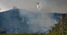 Treballs per prevenir incendis i millorar el bosc a Sant Ramon
