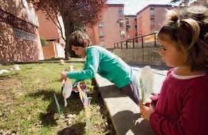 Plantada de árboles en el barrio de Ausias March de Gavà