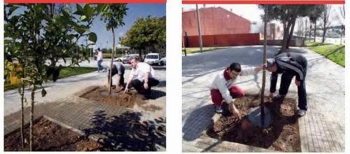 Plantada de árboles en el barrio de Ausias March de Gavà