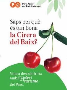 Arriba el temps de la Cirera del Baix al Parc Agrari