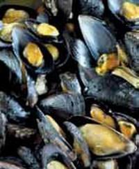 Prohibida la pesca de moluscos de Castelldefels a Vilanova por una bacteria
