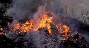 Un incendi crema 1,4 hectàrees a l’ermita de la Salut de Sant Feliu