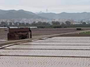 Los payeses del Baix Llobregat recurren a la UE