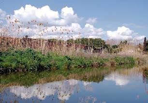 A Sant Boi es degrada l’espai natural i la zona de picnic a les Basses de Can Dimoni