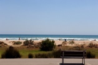 Retirada de plantes invasores al Parc de Mar de Castelldefels