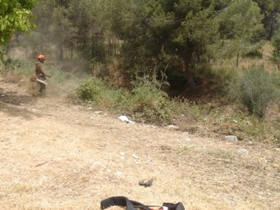 Petit incendi de vegetació a Viladecans