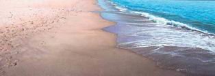Comença l’aportació de sorra a la platja de cara a l’estiu