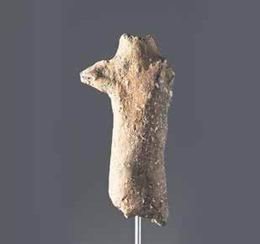 National Geographic selecciona “L’Encant de Begues” com un dels grans descobri-ments de 2012