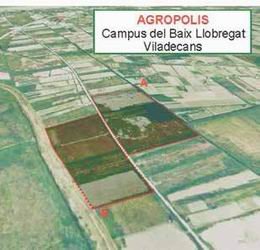L’empresa d’investigació biomèdica ASCIL s’instal·la a l’Agròpolis