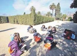 El Área Metropolitana invita a los niños a descubrir las especies vegetales de Torreblanca
