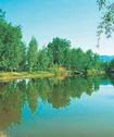 Comencen les visites al riu Llobregat per conèixer el seu ecosistema