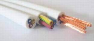 Dos detinguts per robar 500 metres de cable elèctric del pavelló municipal de Sant Andreu de la Barca