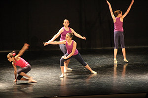 Premis Coreogràfics de Sant Boi