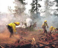 Inici del Pla de Vigilància Contra Incendis a Torrelles de Llobregat