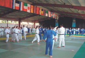 Pabellón del Hotel Playafels durante un entrenamiento de judo.