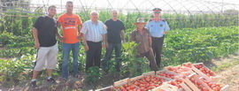 L’Hort Solidari