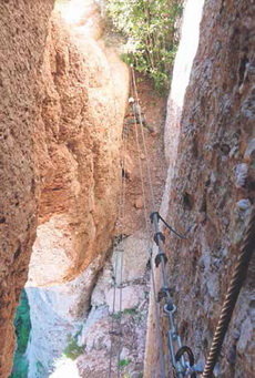 Agricultura obre quatre expedients sancionadors per incompliment de la regulació de l’escalada a la Muntanya de Montserrat