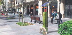 Molins de Rei estrena un prototip de pipicà únic