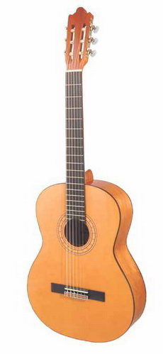 El 1r Festival de Guitarra Clàssica clou amb una excel·lent valoració