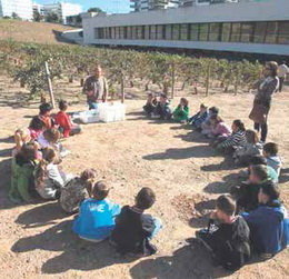 Els escolars de Sant Joan Despí aprenen a les vinyes del parc de la Fontsanta