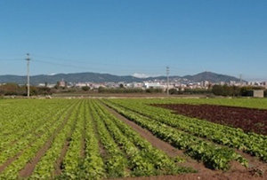 Iniciativa reclama l’ampliació del Parc Agrari a Molins de Rei
