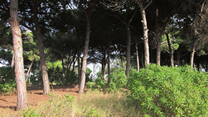 Alumnos de la UB harán prácticas en la zona natural de Viladecans