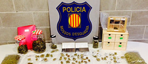 Els Mossos d’Esquadra detenen quatre responsables d’una associació de cànnabis al Baix Llobregat per tràfic de drogues