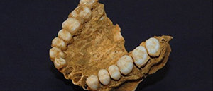 Exposició a Castelldefels de la mandíbula d'un neandertal